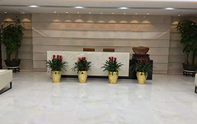 某家金融公司辦公場所實(shí)拍