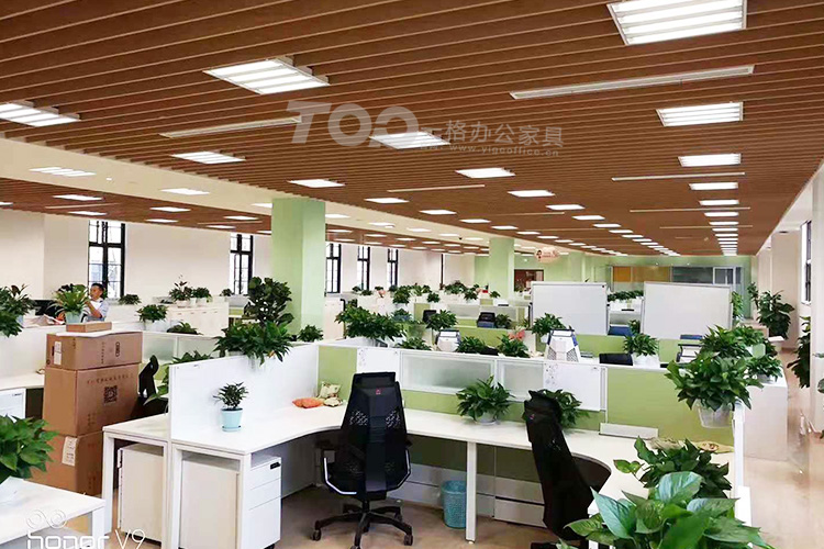 辦公卡位白+綠.jpg 辦公卡位白+綠.jpg